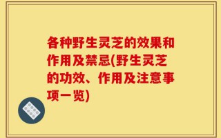 各种野生灵芝的效果和作用及禁忌(野生灵芝的功效、作用及注意事项一览)