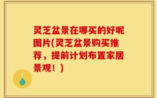 灵芝盆景在哪买的好呢图片(灵芝盆景购买推荐，提前计划布置家居景观！)