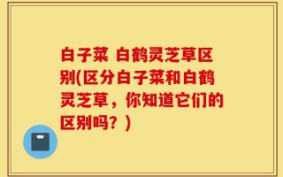 白子菜 白鹤灵芝草区别(区分白子菜和白鹤灵芝草，你知道它们的区别吗？)