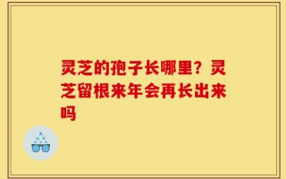 灵芝的孢子长哪里？灵芝留根来年会再长出来吗