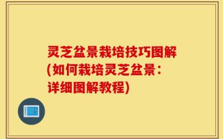 灵芝盆景栽培技巧图解(如何栽培灵芝盆景：详细图解教程)