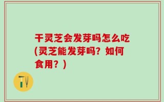 干灵芝会发芽吗怎么吃(灵芝能发芽吗？如何食用？)