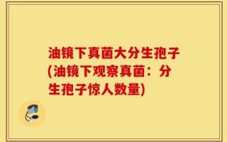 油镜下真菌大分生孢子(油镜下观察真菌：分生孢子惊人数量)
