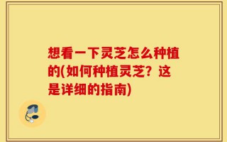 想看一下灵芝怎么种植的(如何种植灵芝？这是详细的指南)
