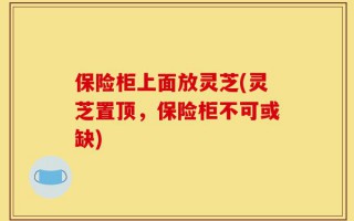 保险柜上面放灵芝(灵芝置顶，保险柜不可或缺)