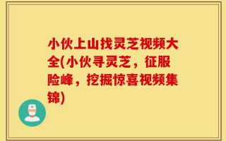 小伙上山找灵芝视频大全(小伙寻灵芝，征服险峰，挖掘惊喜视频集锦)