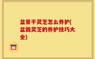 盆景干灵芝怎么养护(盆栽灵芝的养护技巧大全)