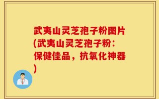 武夷山灵芝孢子粉图片(武夷山灵芝孢子粉：保健佳品，抗氧化神器)
