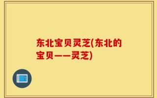 东北宝贝灵芝(东北的宝贝——灵芝)