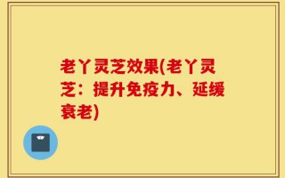 老丫灵芝效果(老丫灵芝：提升免疫力、延缓衰老)
