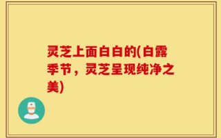 灵芝上面白白的(白露季节，灵芝呈现纯净之美)