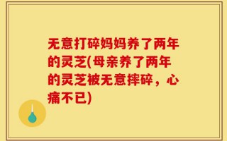 无意打碎妈妈养了两年的灵芝(母亲养了两年的灵芝被无意摔碎，心痛不已)