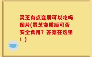 灵芝有点变质可以吃吗图片(灵芝变质后可否安全食用？答案在这里！)
