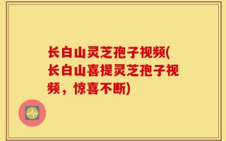 长白山灵芝孢子视频(长白山喜提灵芝孢子视频，惊喜不断)