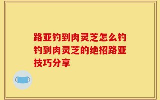 路亚钓到肉灵芝怎么钓钓到肉灵芝的绝招路亚技巧分享