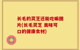 长毛的灵芝还能吃嘛图片(长毛灵芝 美味可口的健康食材)