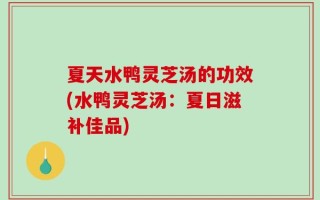 夏天水鸭灵芝汤的功效(水鸭灵芝汤：夏日滋补佳品)