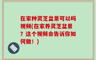 在家种灵芝盆景可以吗视频(在家养灵芝盆景？这个视频会告诉你如何做！)