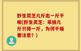 野生灵芝几斤出一斤干呢(野生灵芝：采摘几斤只得一斤，为何干燥要注意？)