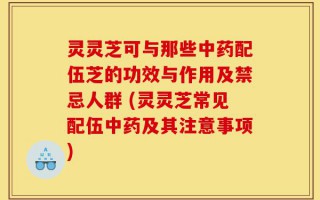 灵灵芝可与那些中药配伍芝的功效与作用及禁忌人群 (灵灵芝常见配伍中药及其注意事项)