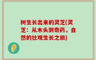 树生长出来的灵芝(灵芝：从木头到奇药，自然的壮观生长之旅)