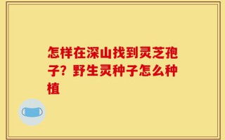 怎样在深山找到灵芝孢子？野生灵种子怎么种植