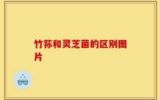 竹荪和灵芝菌的区别图片