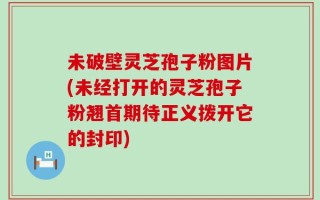 未破壁灵芝孢子粉图片(未经打开的灵芝孢子粉翘首期待正义拨开它的封印)