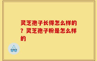 灵芝孢子长得怎么样的？灵芝孢子粉是怎么样的