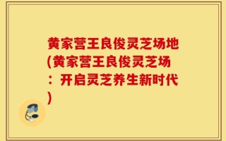黄家营王良俊灵芝场地(黄家营王良俊灵芝场：开启灵芝养生新时代)