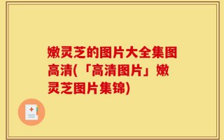 嫩灵芝的图片大全集图高清(「高清图片」嫩灵芝图片集锦)