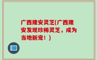 广西隆安灵芝(广西隆安发现珍稀灵芝，成为当地新宠！)