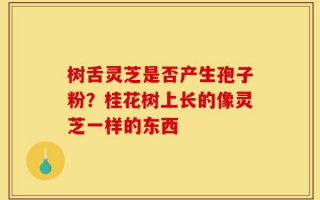 树舌灵芝是否产生孢子粉？桂花树上长的像灵芝一样的东西