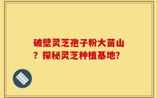 破壁灵芝孢子粉大苗山？探秘灵芝种植基地？