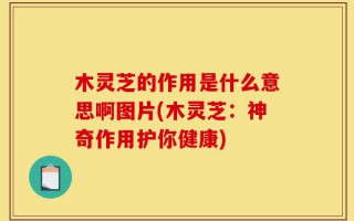 木灵芝的作用是什么意思啊图片(木灵芝：神奇作用护你健康)