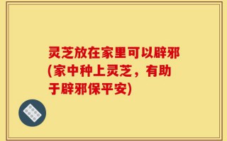 灵芝放在家里可以辟邪(家中种上灵芝，有助于辟邪保平安)