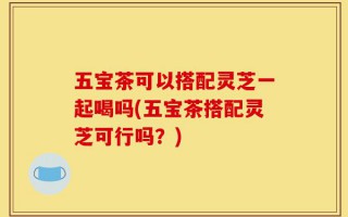 五宝茶可以搭配灵芝一起喝吗(五宝茶搭配灵芝可行吗？)