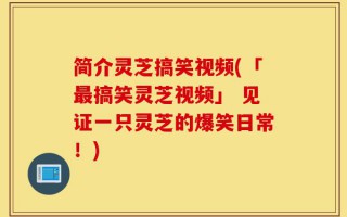 简介灵芝搞笑视频(「最搞笑灵芝视频」 见证一只灵芝的爆笑日常！)