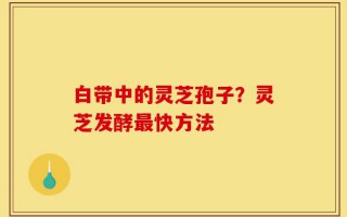 白带中的灵芝孢子？灵芝发酵最快方法