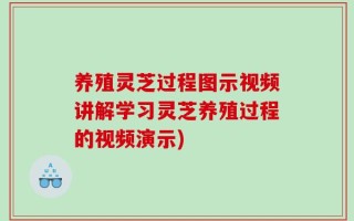 养殖灵芝过程图示视频讲解学习灵芝养殖过程的视频演示)