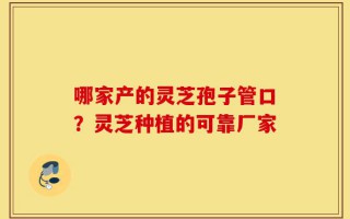 哪家产的灵芝孢子管口？灵芝种植的可靠厂家