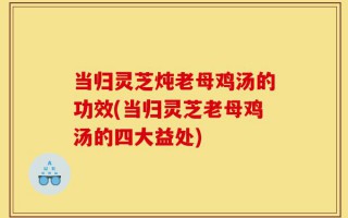 当归灵芝炖老母鸡汤的功效(当归灵芝老母鸡汤的四大益处)