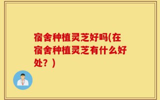 宿舍种植灵芝好吗(在宿舍种植灵芝有什么好处？)