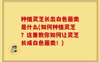 种植灵芝长出白色菌类是什么(如何种植灵芝？这里教你如何让灵芝长成白色菌类！)