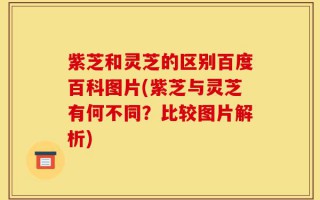 紫芝和灵芝的区别百度百科图片(紫芝与灵芝有何不同？比较图片解析)