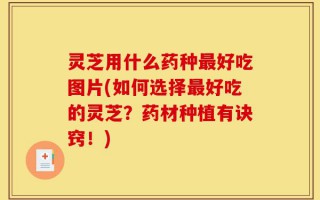 灵芝用什么药种最好吃图片(如何选择最好吃的灵芝？药材种植有诀窍！)