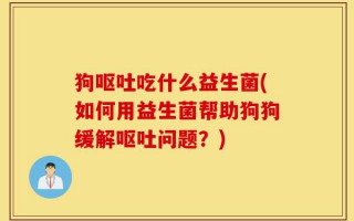 狗呕吐吃什么益生菌(如何用益生菌帮助狗狗缓解呕吐问题？)