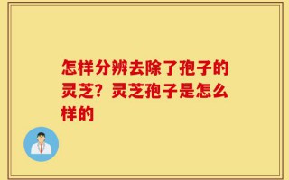 怎样分辨去除了孢子的灵芝？灵芝孢子是怎么样的