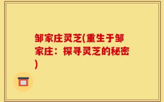 邹家庄灵芝(重生于邹家庄：探寻灵芝的秘密)