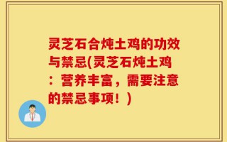 灵芝石合炖土鸡的功效与禁忌(灵芝石炖土鸡：营养丰富，需要注意的禁忌事项！)